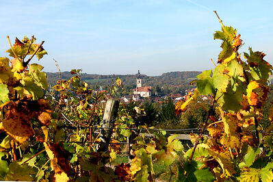 2013_Weinwanderung